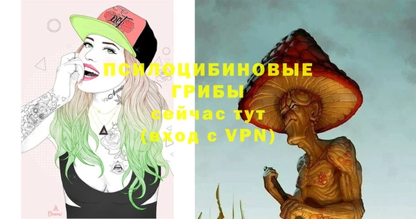 герыч Новокубанск